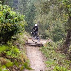 Spiazzi di Gromo BikePark Downhill Foto di Armin Hadziosmanovic