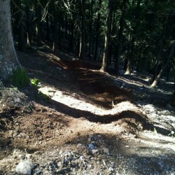 Spiazzi di gromo bike park