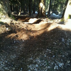Spiazzi di gromo bike park