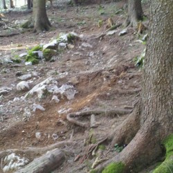 Spiazzi di gromo bike park