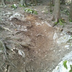 Spiazzi di gromo bike park