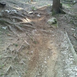 Spiazzi di gromo bike park
