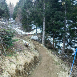 Spiazzi di Gromo Bike Park