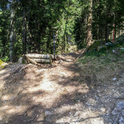 Spiazzi di Gromo Bike Park